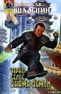 Черно-белое знамя Земли - Шалыгин Вячеслав Владимирович