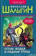 Звезда с одним лучом - Шалыгин Вячеслав Владимирович