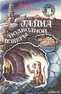 Тайна подводной пещеры - Блайтон Энид