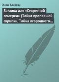 Загадка для «Секретной семерки» (Тайна пропавшей скрипки, Тайна огородного пугала) - Блайтон Энид