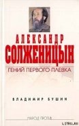Александр Солженицын. Гений первого плевка - Бушин Владимир Сергеевич