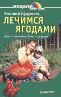Лечимся ягодами. Дача — вылечит, дача — исцелит - Щадилов Евгений