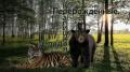 Перерождённые (СИ) - Крапицкая Влада