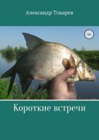 Короткие встречи - Токарев Александр