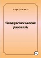 Непедагогические рассказы - Родинков Игорь