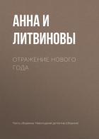 Отражение Нового года - Литвиновы Анна и Сергей