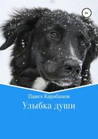 Улыбка души - Карабанов Павел Юрьевич