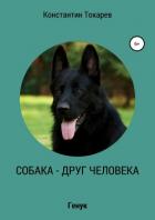 Собака – друг человека - Токарев Константин