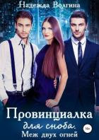 Провинциалка для сноба. Меж двух огней - Волгина Надежда