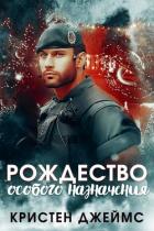 Рождество особого назначения (ЛП) - Джеймс Кристен