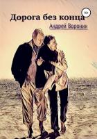 Дорога без конца - Воронин Андрей Николаевич