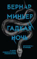 Гадкая ночь - Миньер Бернар