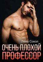 Очень плохой профессор (СИ) - Сокол Лена