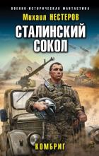 Сталинский сокол. Комбриг - Нестеров Михаил Васильевич