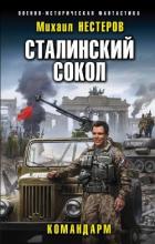 Командарм (СИ) - Нестеров Михаил Петрович