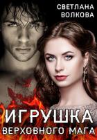 Игрушка Верховного Мага (СИ) - Волкова Светлана