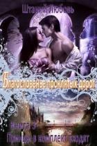 Благословение проклятых дорог (СИ) - Штаний Любовь В.