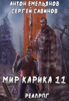 Тайна Кота (СИ) - Емельянов Антон Дмитриевич