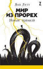 Мир из прорех. Новые правила - Летт Яна