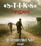 S.T.I.K.S Прайм (СИ) - Петрищев Константин "Badhowend"