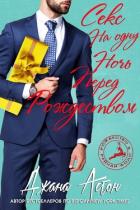 Секс на одну ночь перед Рождеством (ЛП) - Астон Джана