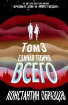Единая теория всего. Том 3. Антропный принцип - Образцов Константин