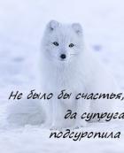Не было бы счастья, да супруга подсуропила - Заверин Стэн