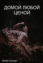 Домой любой ценой (СИ) - Солнце Юлия