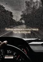 Тайна ночного попутчика (СИ) - Фэй Влади