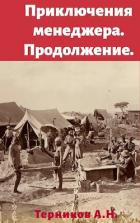 Приключения менеджера. Продолжение (СИ) - Терников Александр Николаевич