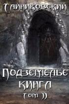 Подземелье Кинга. Том II (СИ) - "Тайниковский"