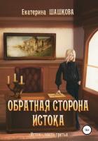 Обратная сторона Истока (СИ) - Шашкова Екатерина Владимировна