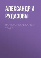 Паргоронские байки. Том 2 - Рудазов Александр
