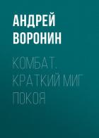 Комбат. Краткий миг покоя - Воронин Андрей