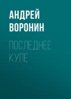 Последнее купе - Воронин Андрей