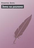 Зима на разломе - Динец Владимир