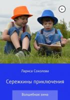 Сережкины приключения. Волшебная зима - Соколова Лариса
