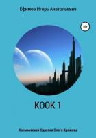 КООК 1 - Ефимов Игорь Анатольевич