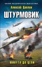 Штурмовик. Минута до цели - Цаплин Алексей