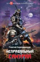 Неправильный самурай - Смородинский Георгий