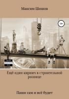 Ещё один кирпич в строительной рознице - Шишов Максим
