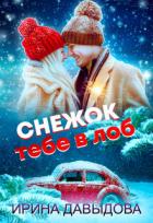 Снежок тебе в лоб (СИ) - Давыдова Ирина