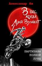 Партизаны полной Луны (СИ) - Кинн Екатерина