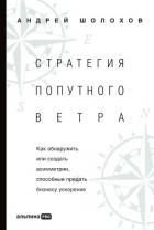 Стратегия попутного ветра. Как обнаружить или создать асимметрии, способные придать бизнесу ускорени - Шолохов Андрей Борисович