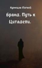 Путь к Цитадели (СИ) - Кузнецов Матвей