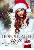 Новогоднее чудо - Салах Алайна