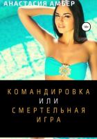Командировка (СИ) - Амбер Анастасия