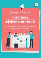 Система эффективности в онлайн-проекте - Зверев Дмитрий
