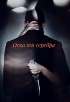 Осколки серебра (СИ) - "Paulina Shy"