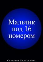 Мальчик под 16 номером - Евдокимова Светлана